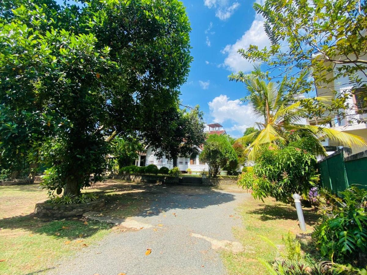 Colonial Bungalow 坦加拉 外观 照片