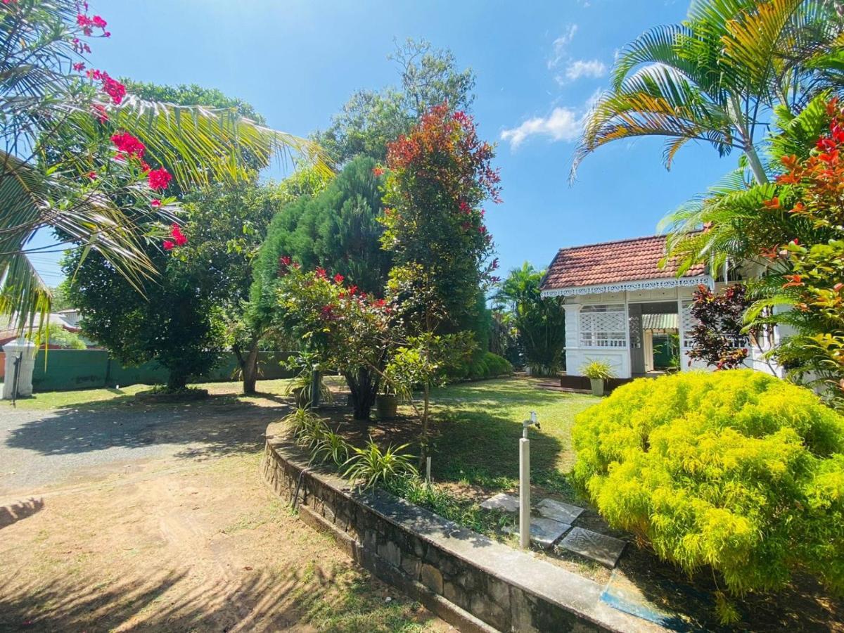 Colonial Bungalow 坦加拉 外观 照片