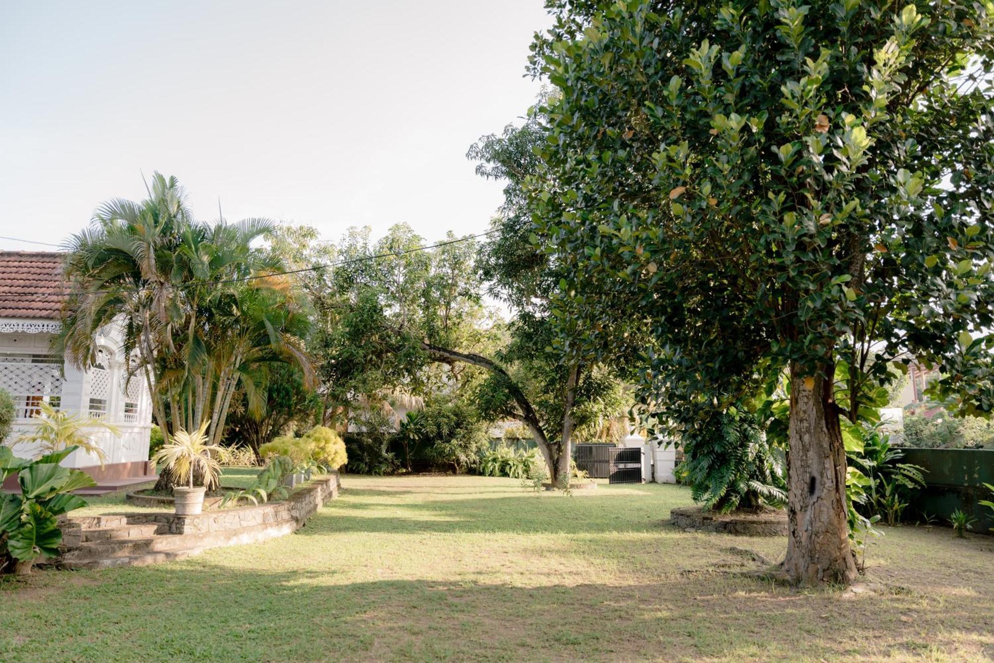 Colonial Bungalow 坦加拉 外观 照片